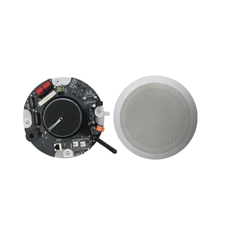 Loa âm trần Wifi APlus CS386