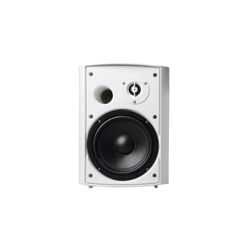 Loa treo tường APlus A-676F