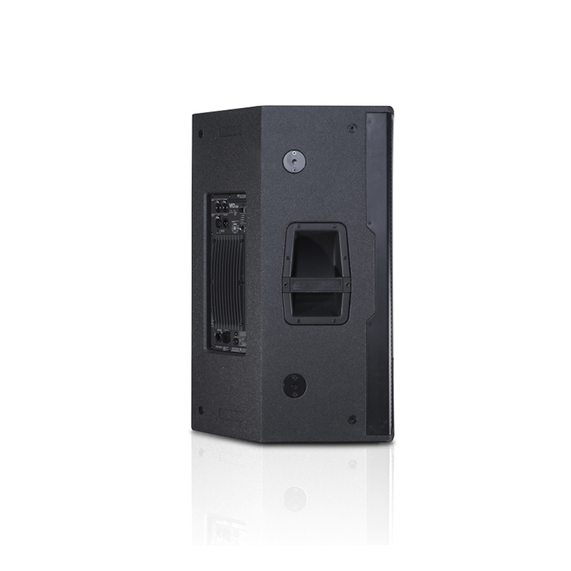Loa sân khấu dB Technologies VIO X15
