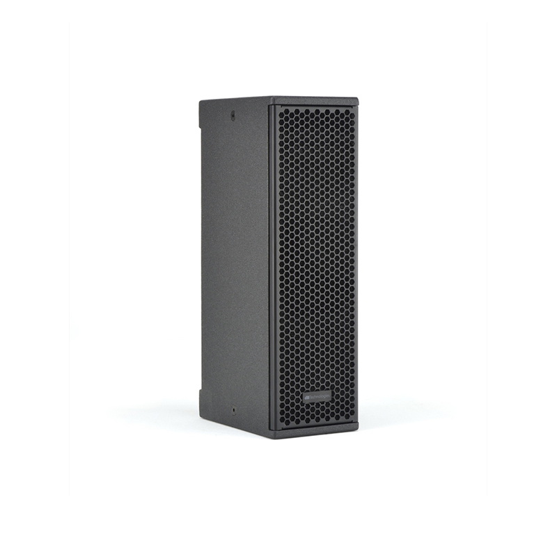 Loa sân khấu dB Technologies VIO X205