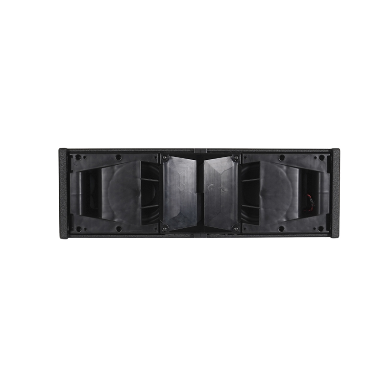 Loa sân khấu dB Technologies VIO X206