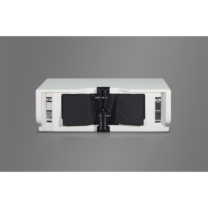 Loa sân khấu dB Technologies VIO L210