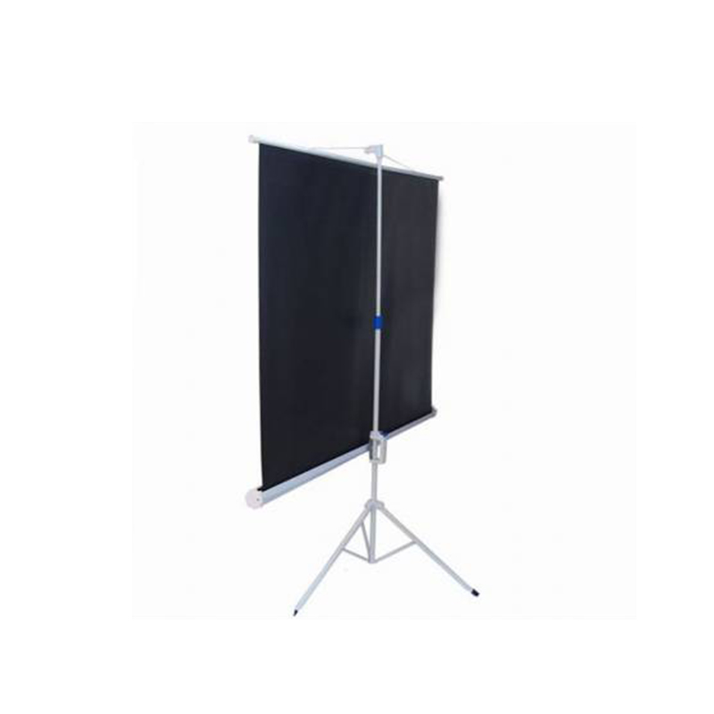 Màn chiếu chân Dalite P80TS (2m03 x 2m03)