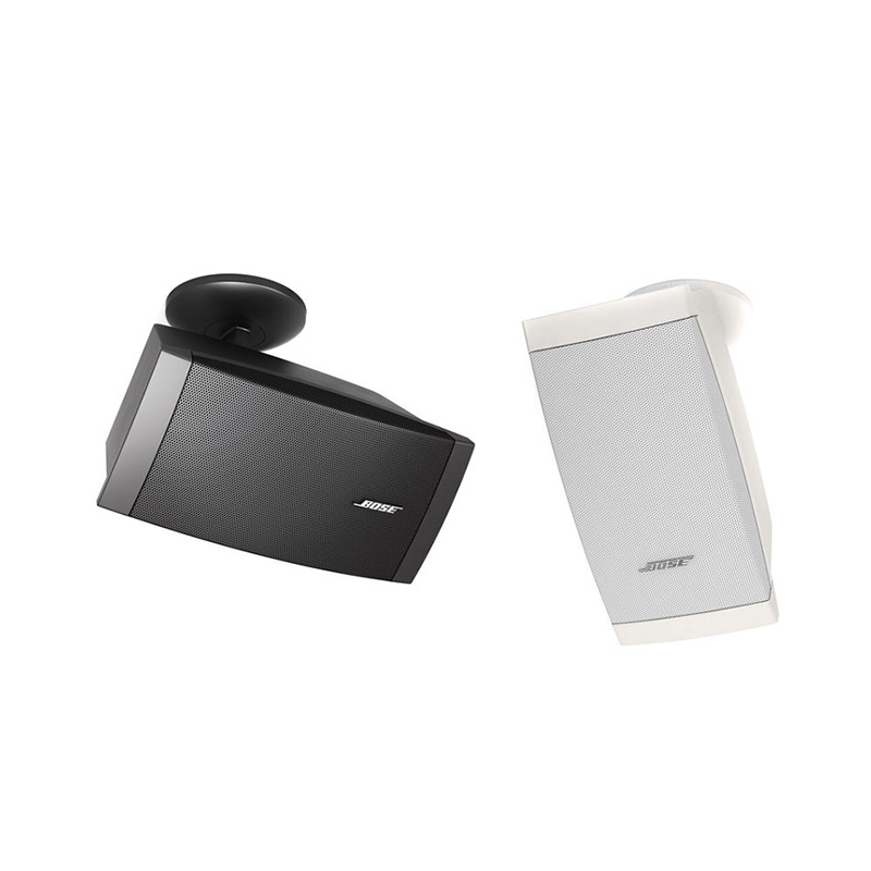 Loa hộp Bose Freespace DS100SE