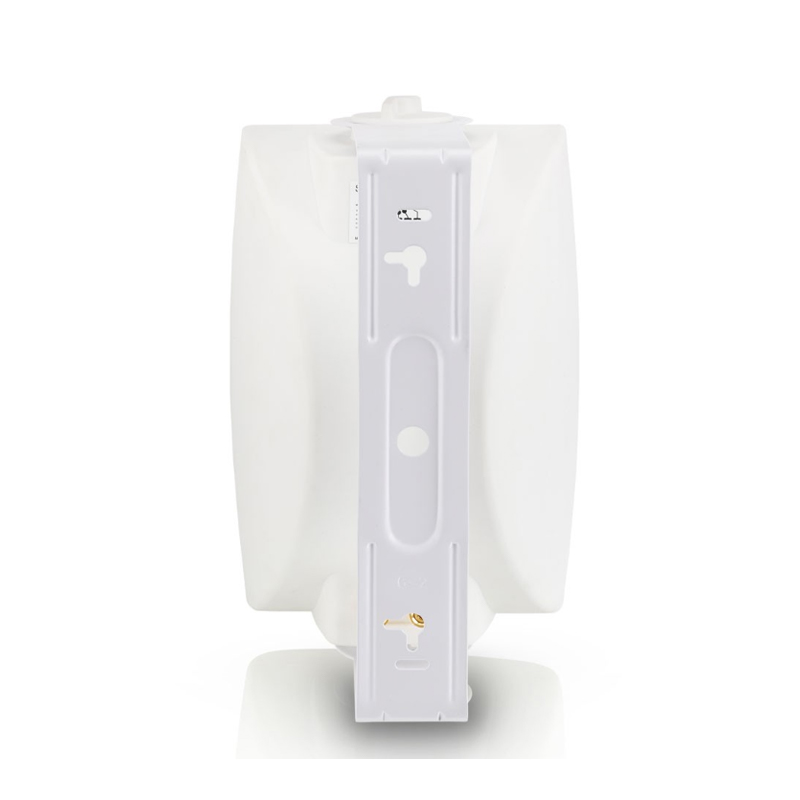 Loa LD Systems CWMS 52 W 100 V