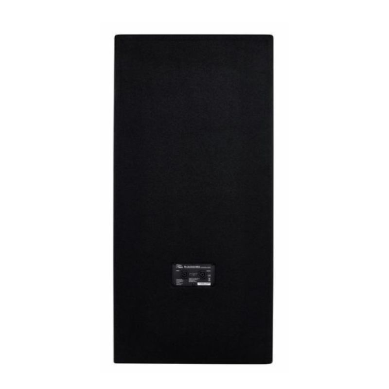 Loa sân khấu The Box PA 252 ECO MKII